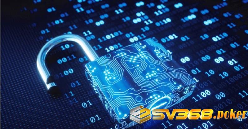 Cam kết về việc bảo mật các dữ liệu
