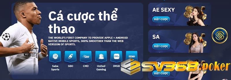 Trải nghiệm được tối ưu hóa