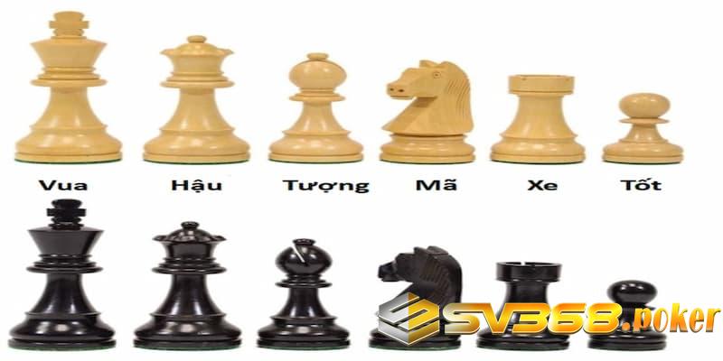 cách chơi cờ vua Giới thiệu toàn bộ quân cờ vua