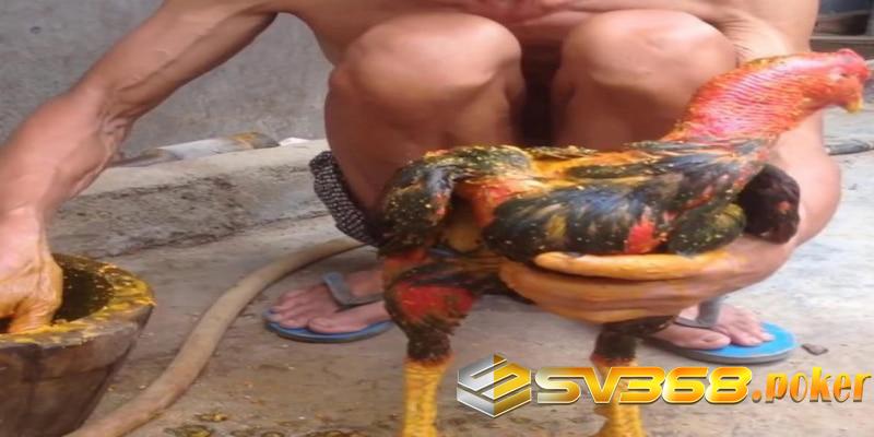 Thoa rượu lên gà để da đỏ và chắc hơn