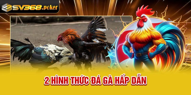 2 hình thức đá gà hấp dẫn