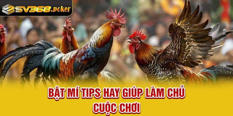 Bật mí tips hay giúp làm chủ cuộc chơi