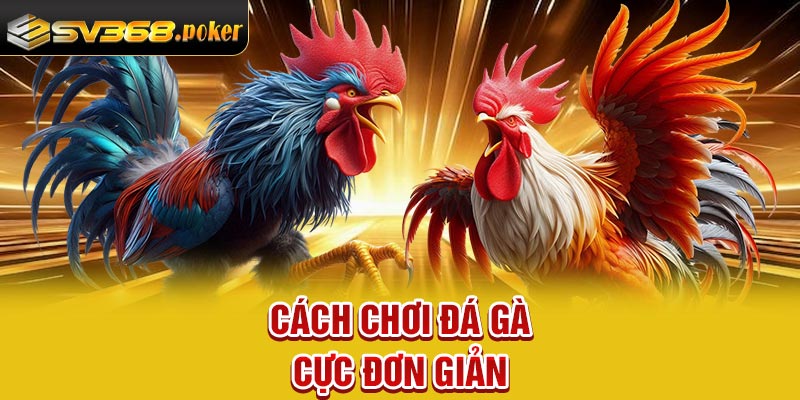 Cách chơi đá gà cực đơn giản