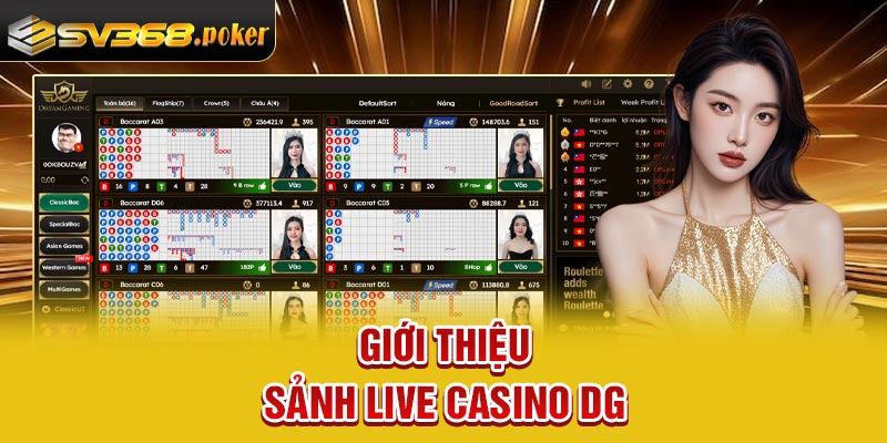 Giới thiệu sảnh live casino DG