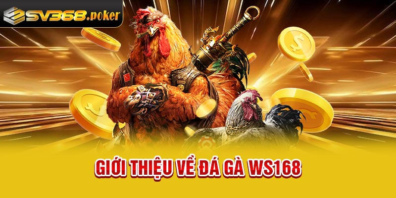 Giới thiệu về đá gà Ws168