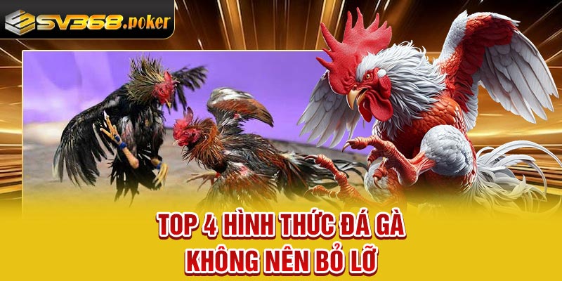 Top 4 hình thức đá gà không nên bỏ lỡ